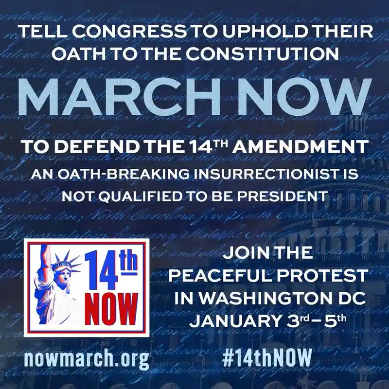 A political protest flyer features a blue background with faded Constitution text and a Capitol building silhouette. Large…