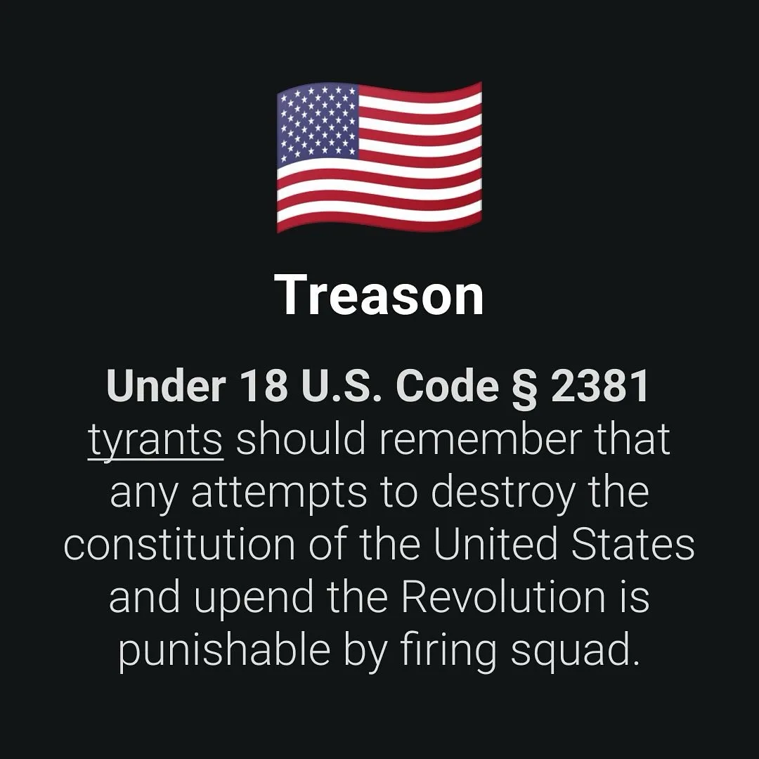 An image of the American flag on a black background with white text. The text reads 'Treason' followed by a legal quote…