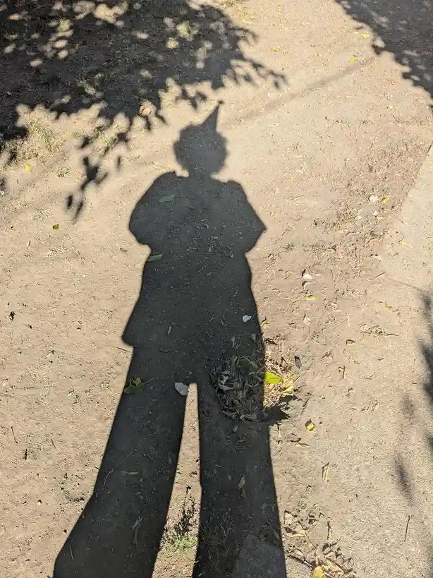 A person's shadow is cast on dirt ground under bright sunlight, showing a figure wearing a pointed hat and holding a small…