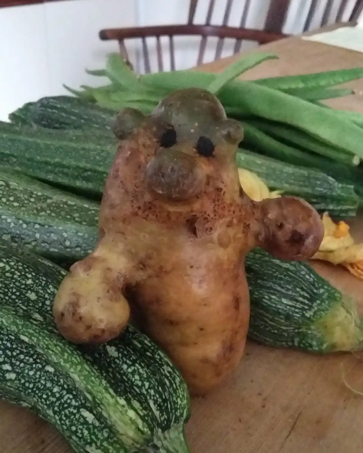 A potato with natural bumps resembling a bear's face and limbs sits upright among green zucchini and green beans on a wooden…