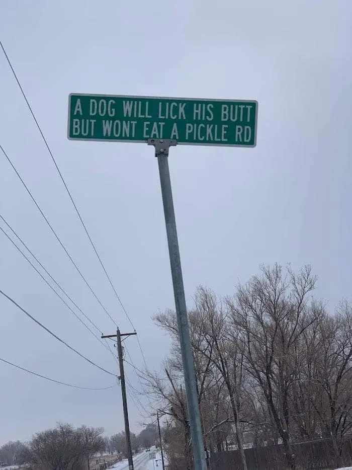 A green street sign mounted on a metal pole reads 'A DOG WILL LICK HIS BUTT BUT WONT EAT A PICKLE RD' against a gray sky…