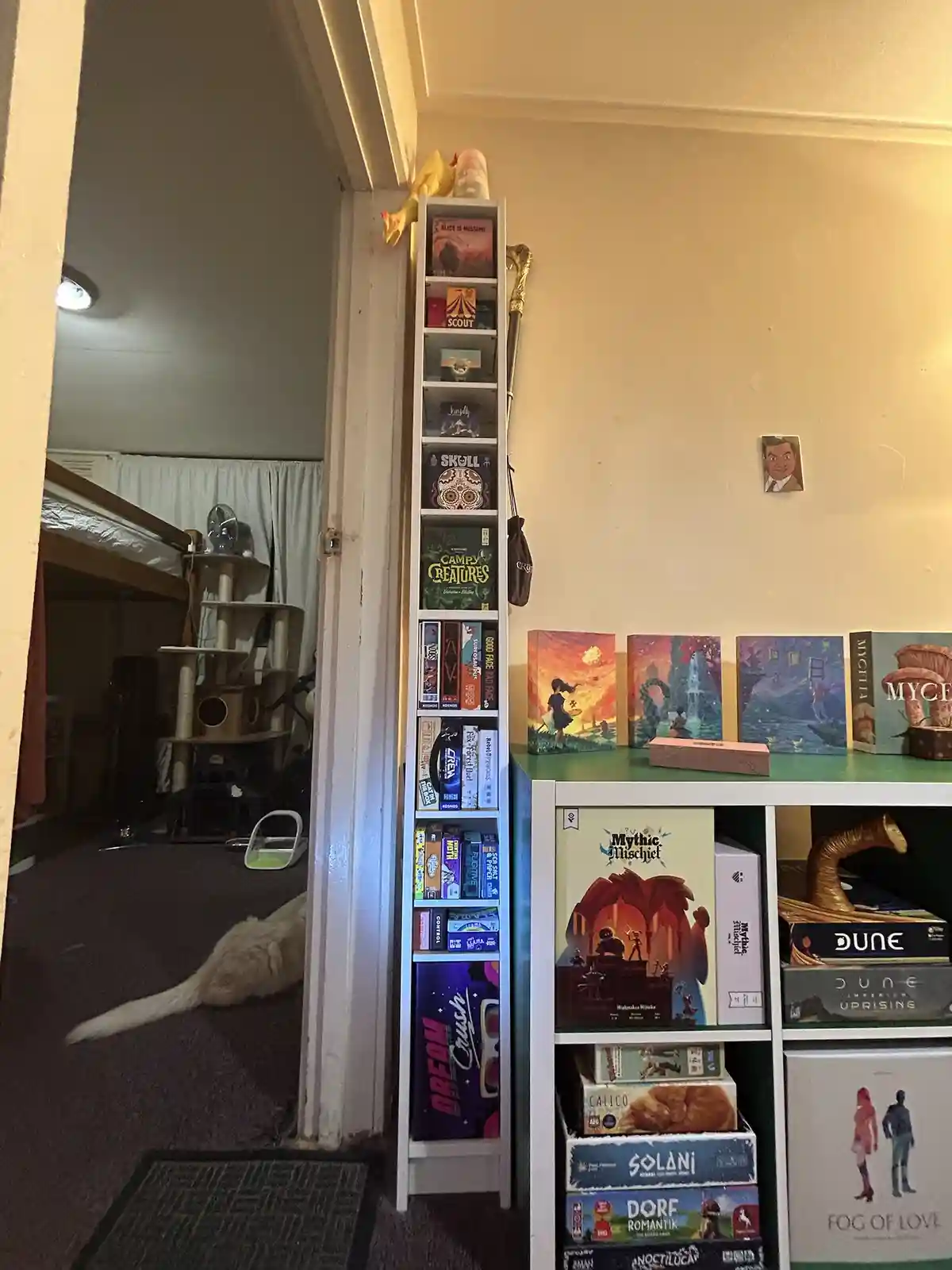 A narrow, tall white shelf filled with numerous board game boxes is positioned in a doorway, with a white cat lying on the…
