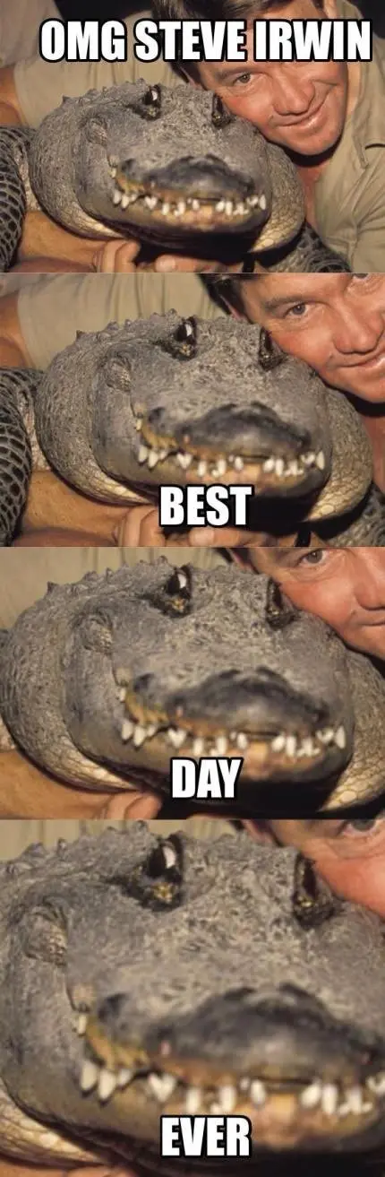 A four-panel image shows Steve Irwin smiling while holding an alligator. The alligator's mouth is slightly open in each…