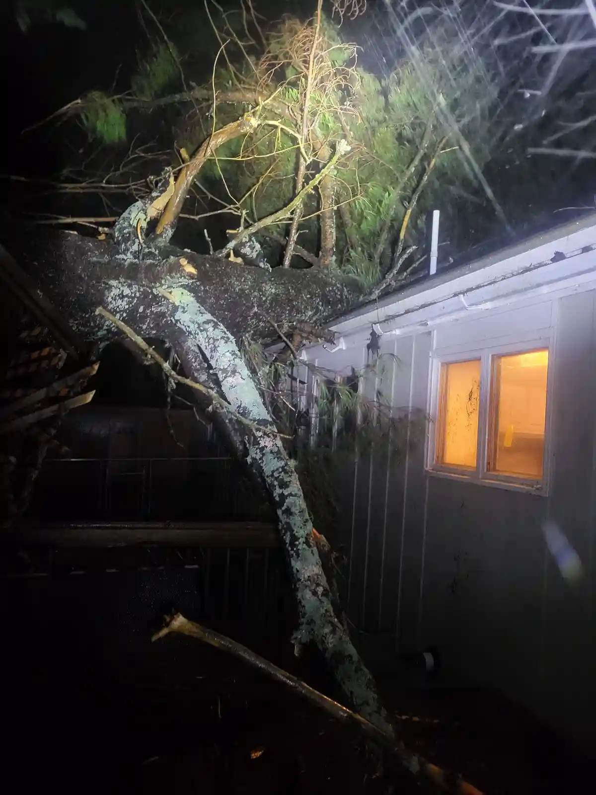 A large tree has fallen onto the roof and side of a house at night, with rain visible in the air. The house has a lit…