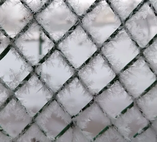 A close-up photo of a green chain-link fence covered in intricate frost patterns, with a snowy, blurry background. Overlaid…