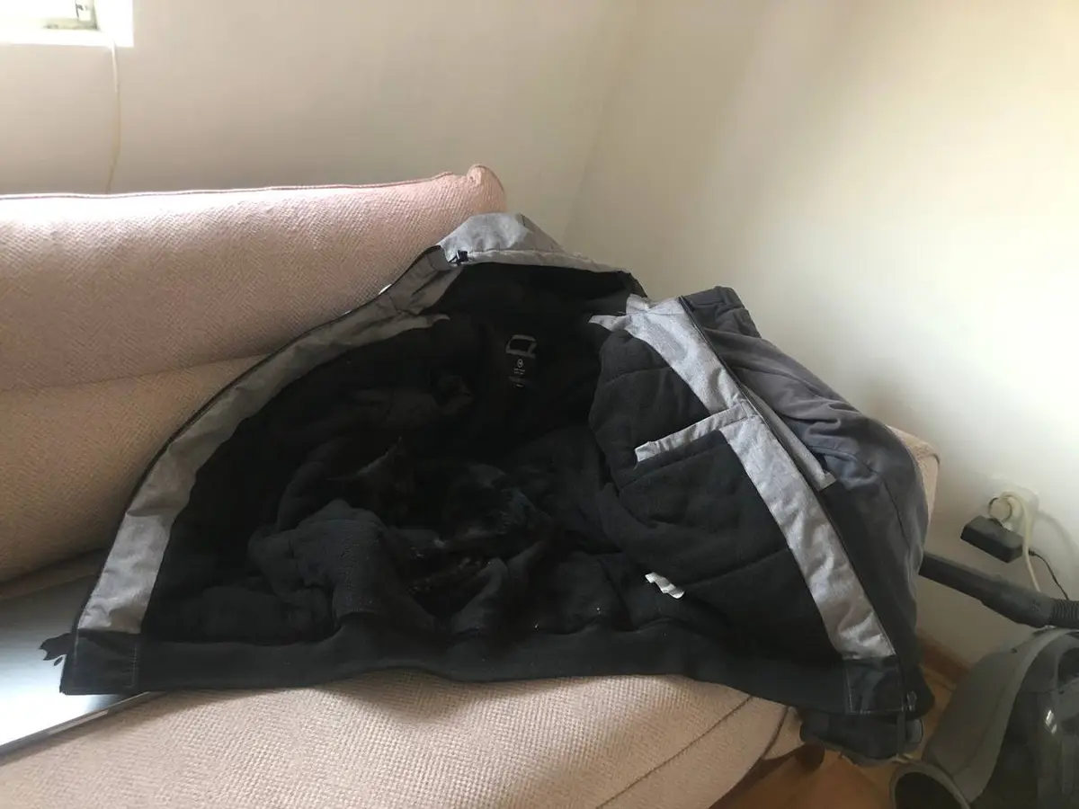 Your mission: Find the cat!