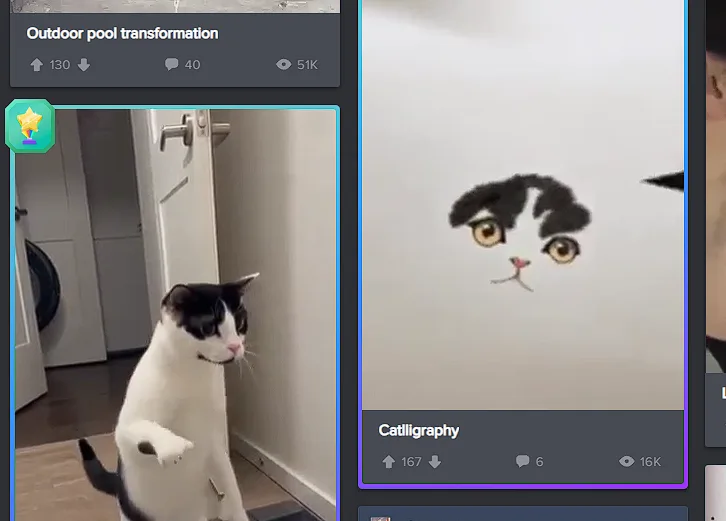 A split-screen image shows a black-and-white cat standing upright on its hind legs in a hallway, looking to the side, while…