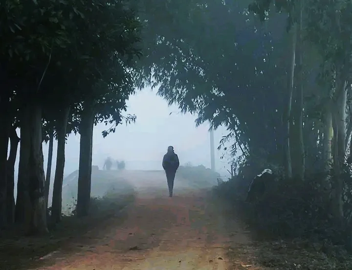 A lone person walks down a misty, tree-lined dirt road toward the viewer, with faint, blurry figures visible in the fog…