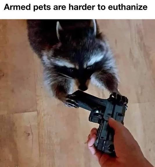 A raccoon is shown holding a handgun in its paws while a human hand holds the grip, set against a wooden floor. The overlaid…