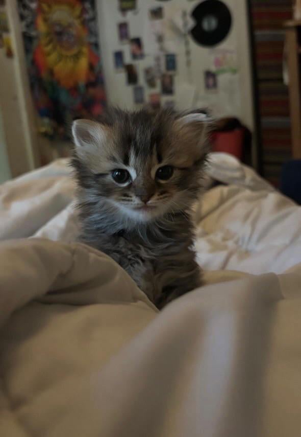 A Warm Hello from Benny!