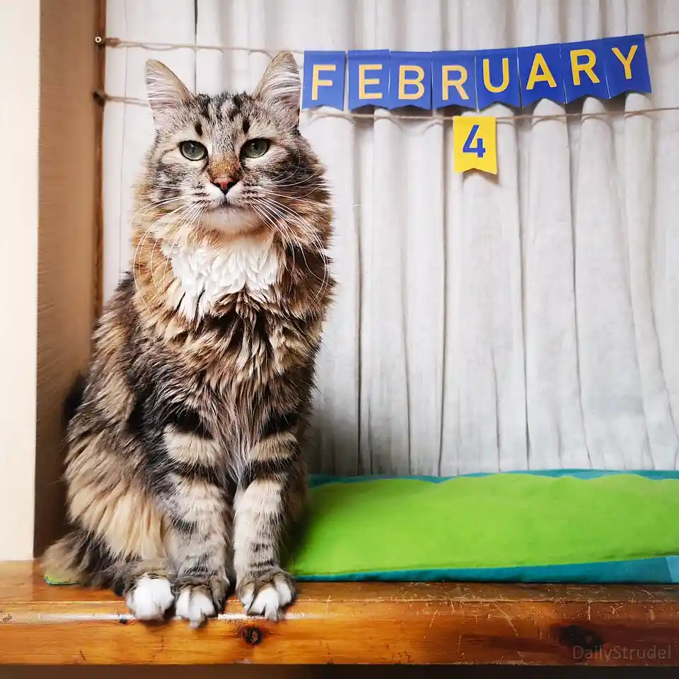 A Day to Remember: February 4th