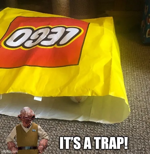A small, bald, red-skinned alien with large ears and a brown vest stands in front of a large yellow LEGO bag. The bag is…