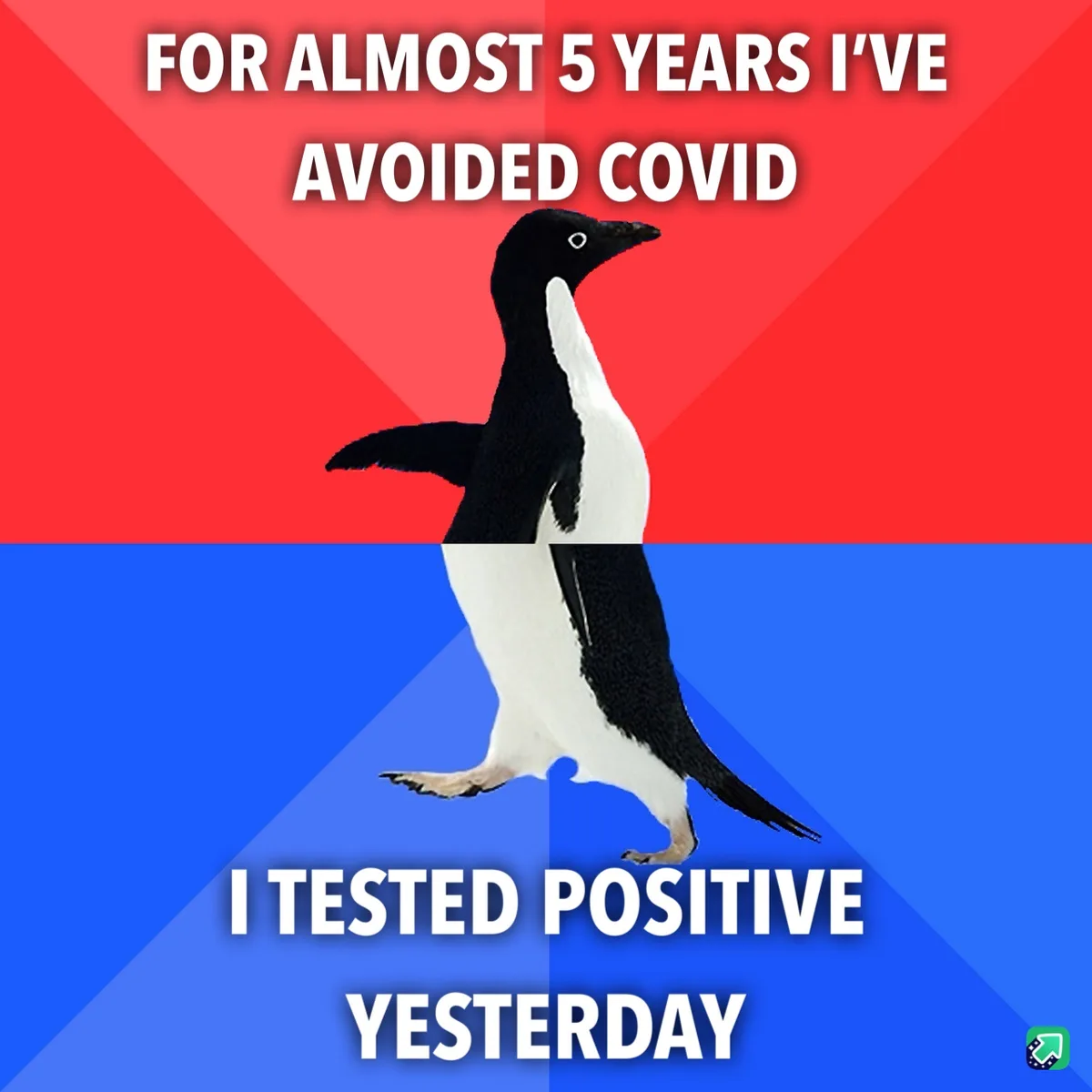 Looks Like Covid Finally Caught Up with Me