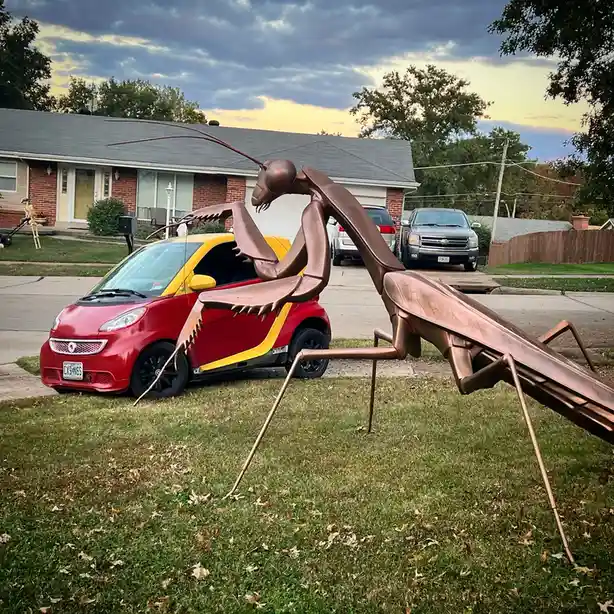 My adorable little ride