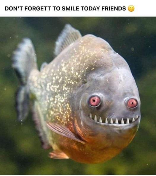 A close-up photo of a piranha with a wide, toothy grin and glowing red eyes, set against a murky underwater background. The…