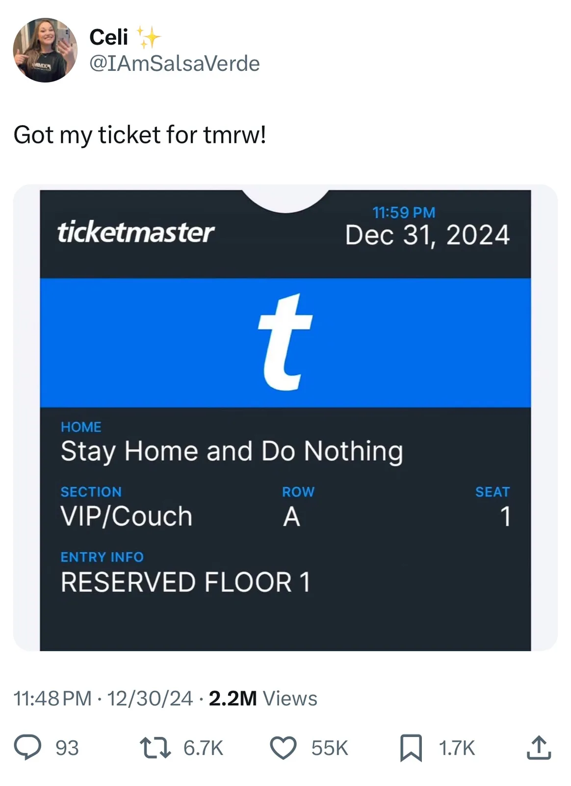 A screenshot of a Ticketmaster mobile ticket for December 31, 2024, shows the event name 'Stay Home and Do Nothing' with…