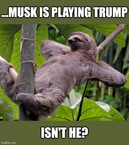 A sloth is hanging lazily from a tree branch in a lush green jungle, its body relaxed and eyes half-closed. The image has…