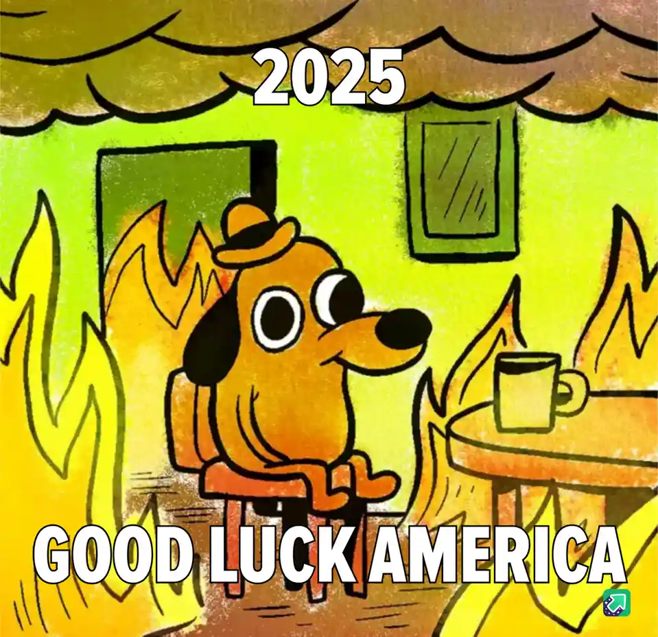 A cartoon dog wearing a hat sits calmly in a room engulfed in flames, with the year '2025' above and 'GOOD LUCK AMERICA'…