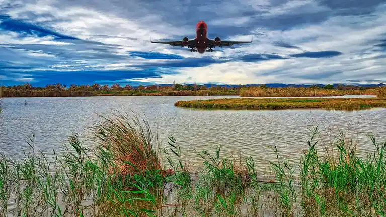 A red commercial airplane is shown flying low over a body of water with reeds and grasses in the foreground and distant…