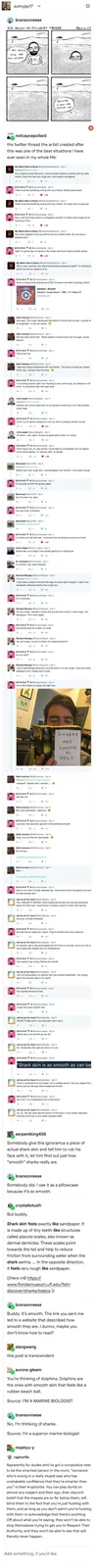 A screenshot of a Twitter thread shows user Branson Reese insisting sharks are smooth, leading to a debate. A photo shows…
