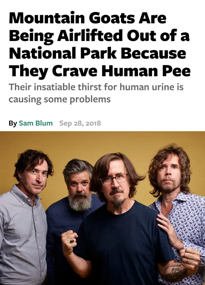 The image displays a photo of four men, presumably the band Mountain Goats, posing together against a plain yellow…