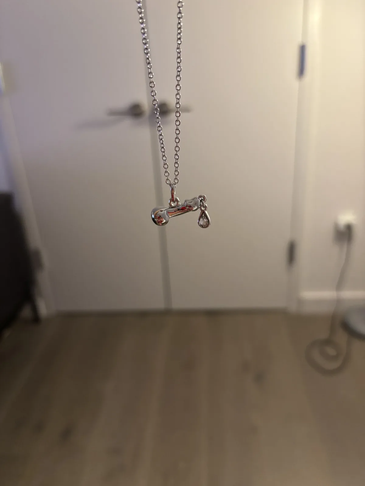 A silver necklace with a bone-shaped pendant and a small teardrop charm hangs in focus against a blurred background of a…