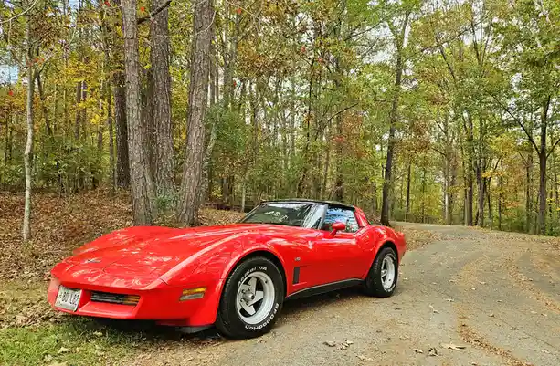 Behold My Classic 1980 L82 Corvette!