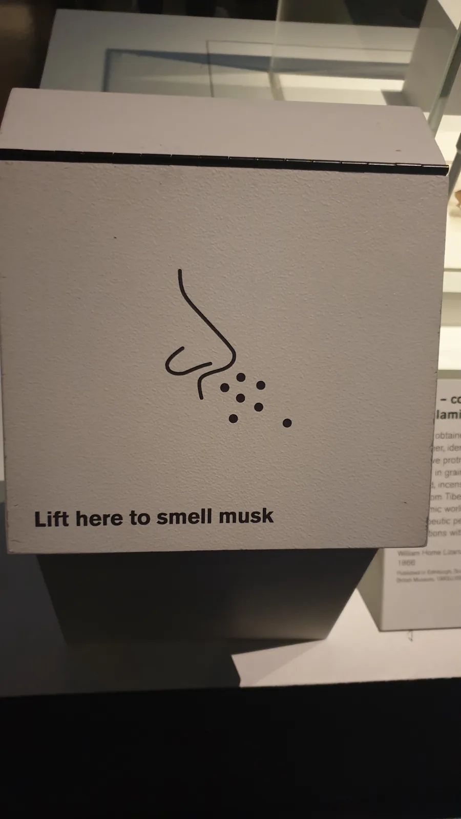 Nope, I Think I'll Pass on That...