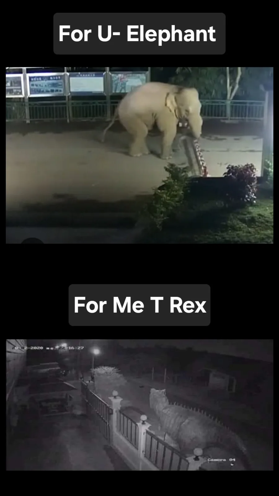 The meme features two security camera clips. The top image shows a real elephant at night, labeled 'For U- Elephant'. The…