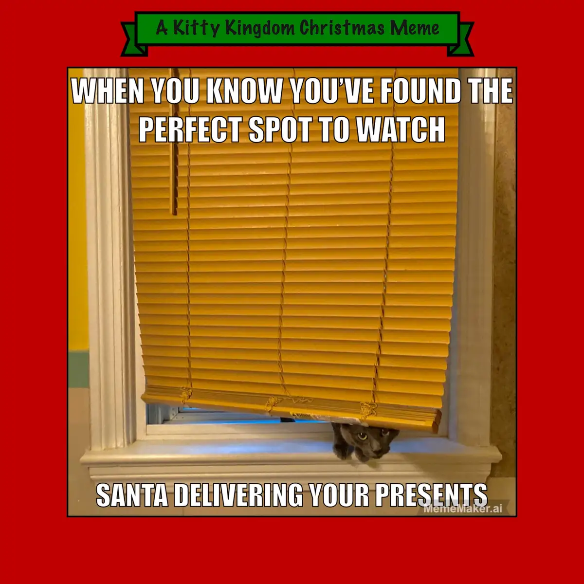Countdown to Christmas in the Kitty Kingdom: Day 1