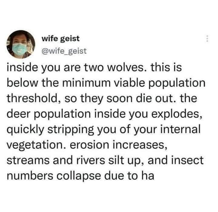 A screenshot of a tweet from 'wife geist' (@wife_geist) showing a person wearing a face mask in the profile picture. The…