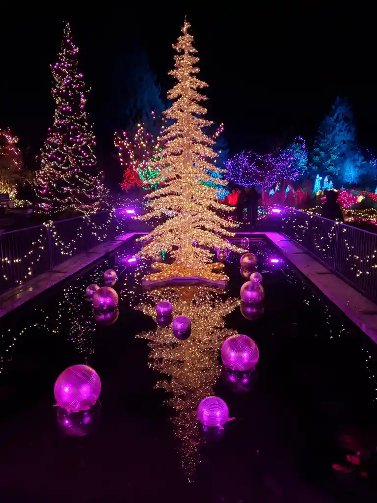 Celebrating my cake day with some dazzling lights!