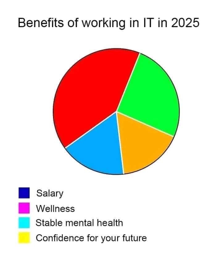 A pie chart titled 'Benefits of working in IT in 2025' shows four colored segments: a large red slice, a green slice, a blue…