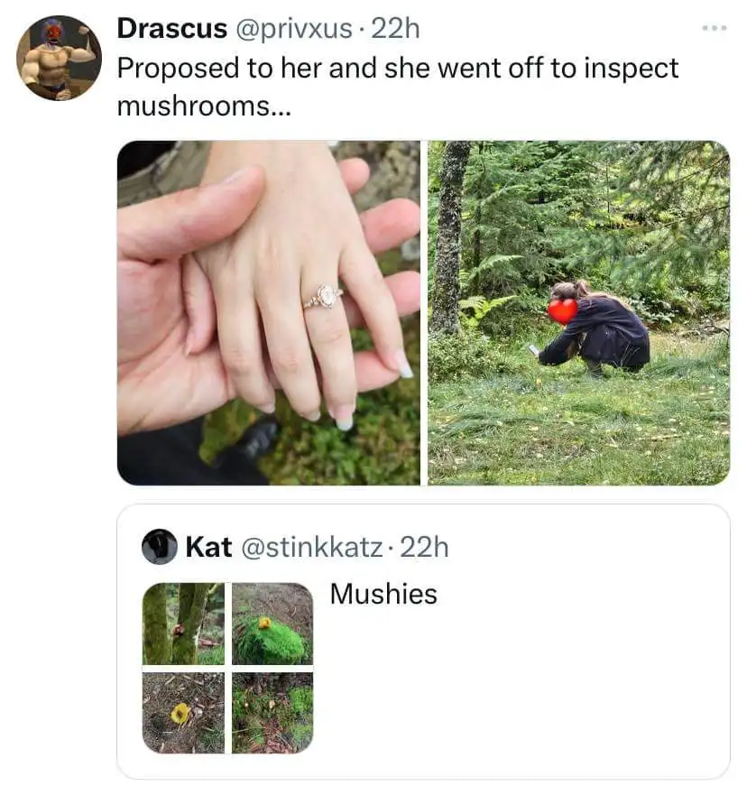 A split image shows a close-up of a woman's hand wearing an engagement ring held by a man's hand, next to a photo of a woman…