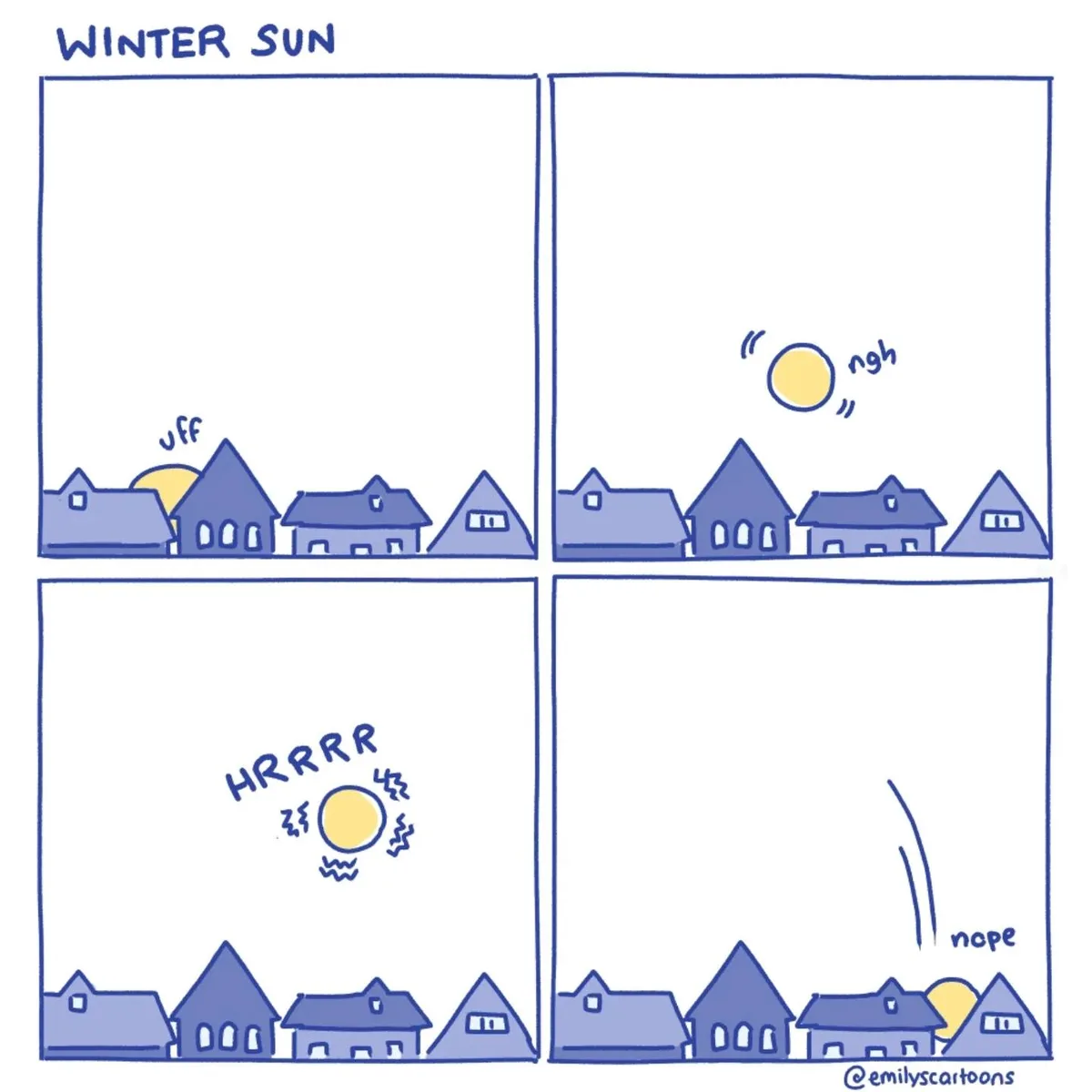 Celebrating the Solstice