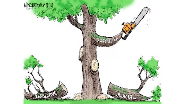 A cartoon tree labeled 'EXECUTIVE' holds a chainsaw and cuts down two smaller trees labeled 'LEGISLATIVE' and 'JUDICIAL'…