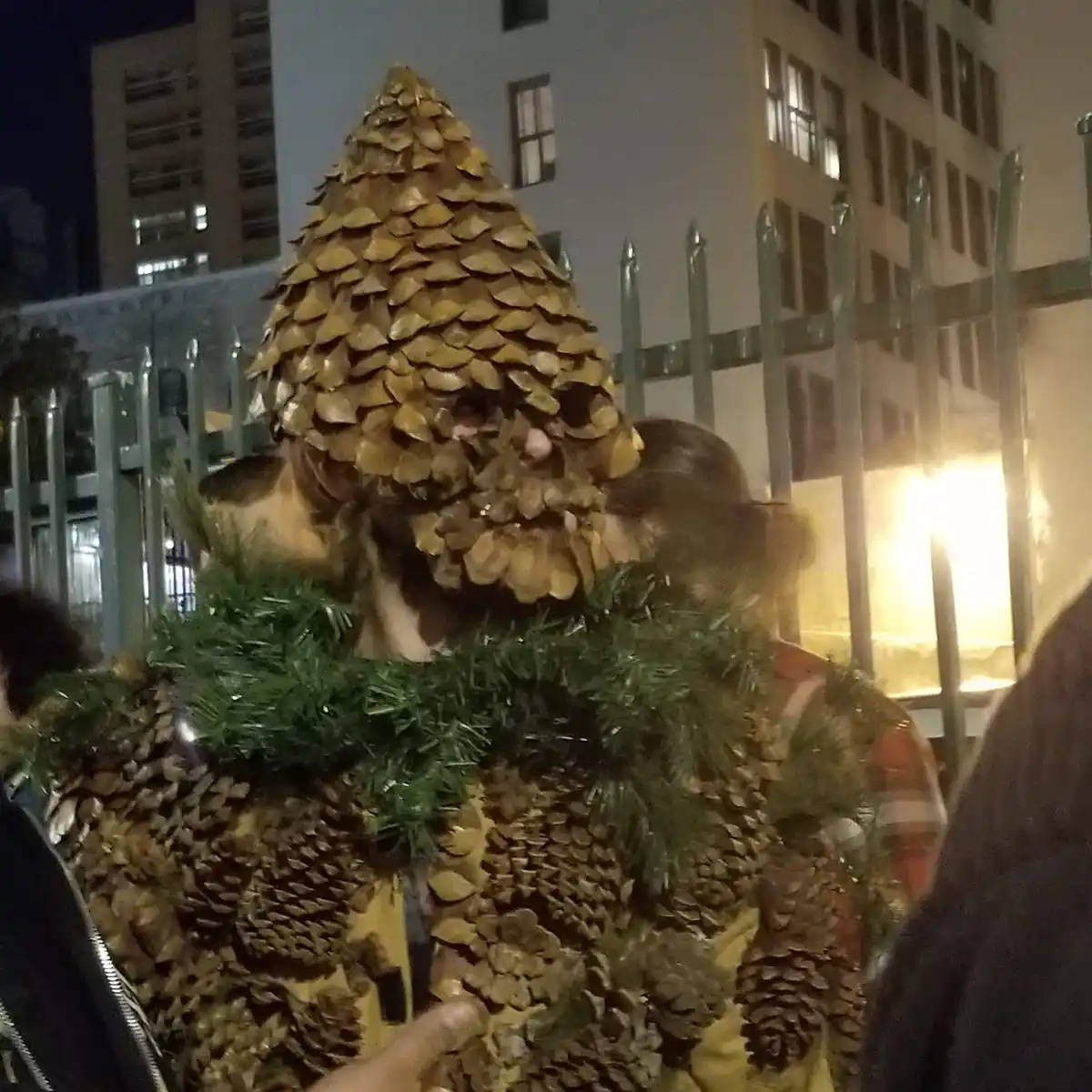 A person is dressed in a costume made of pine cones, wearing a large pine cone headpiece and a pine cone-covered vest, with…