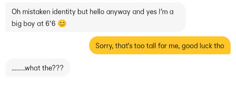 A screenshot of a text message conversation showing a person claiming to be 6'6 tall and a 'big boy,' to which the other…
