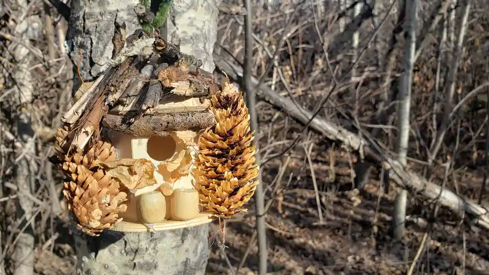 a rustic birdhouse crafted from natural materials including pinecones, twigs, and dried leaves, mounted on a tree trunk in a…
