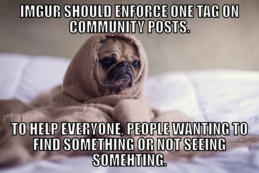 A pug dog wrapped in a brown blanket, looking sad and resigned, is overlaid with bold white text that reads 'IMGUR SHOULD…
