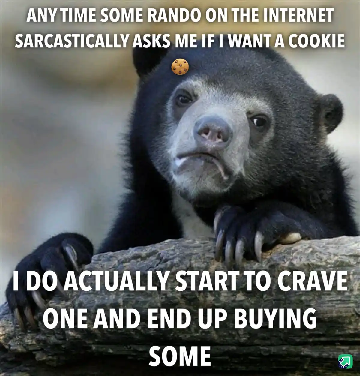 A close-up photo of a sad-looking sun bear resting its paws on a log, with a small cookie emoji above its head. The image…