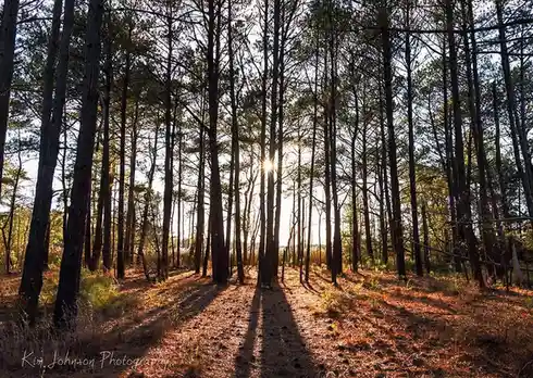 Mysterious Shadows: What Secrets Do They Hold?