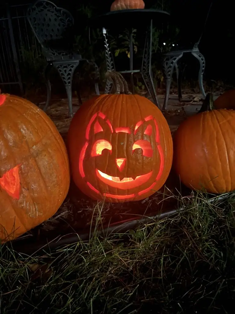A carved Halloween pumpkin with cat-like ears and a smiling face glows from within, sitting on grass next to other pumpkins…
