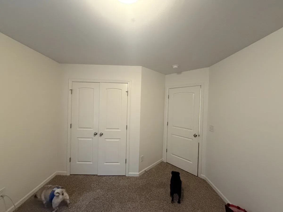Introducing the New Braking Balls Studio