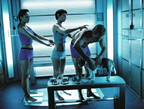 A shirtless man is bent over a table, petting a dog while two women in workout attire stand behind him, each holding his…