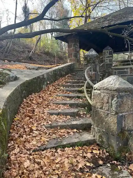 A stone staircase covered in fallen autumn leaves leads up to a covered structure, with moss growing on the steps and…
