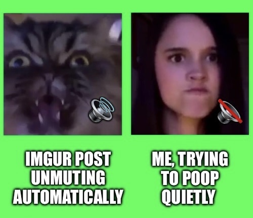 The image is split into two panels. Left: a close-up of a cat with wide eyes and bared teeth, with a muted speaker icon…