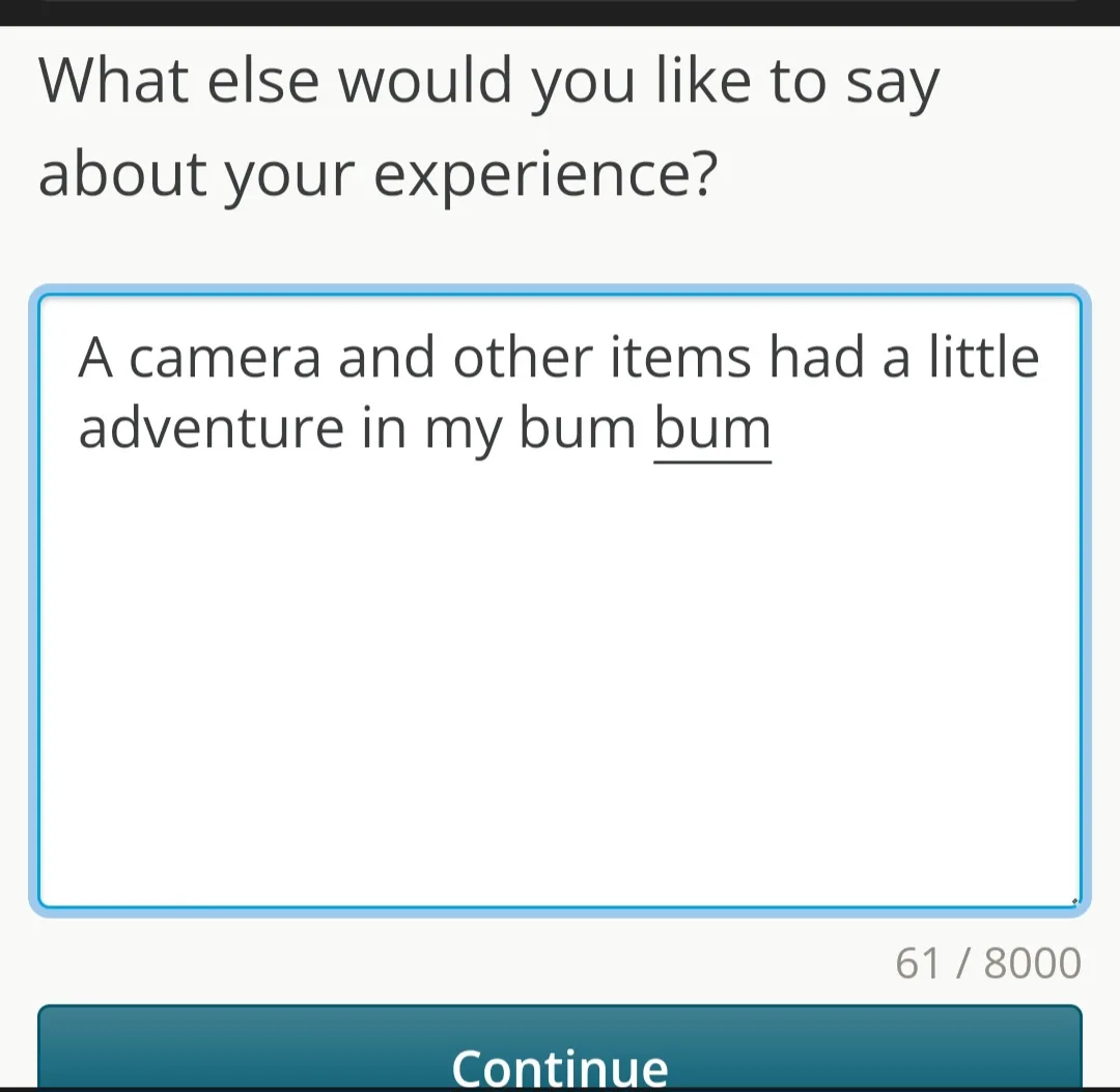 A screenshot of a feedback form asking 'What else would you like to say about your experience?' with a text box containing…