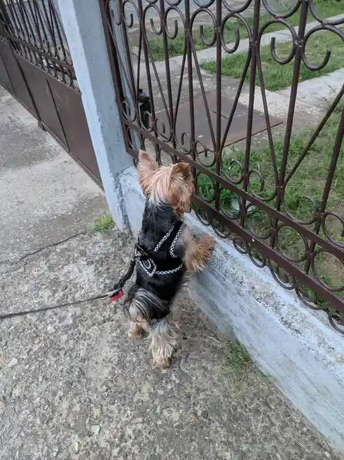 A Friendly Wave to the Neighbor Next Door!