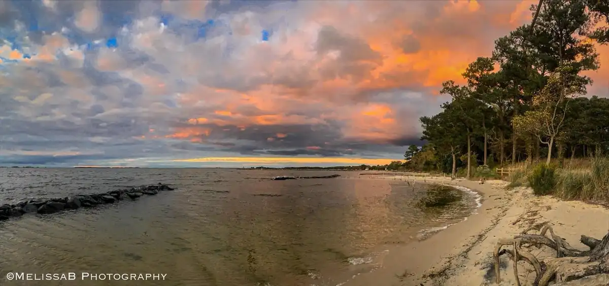 A serene beach scene at sunset with vibrant orange and pink clouds over water, sandy shore, trees, and driftwood. The…